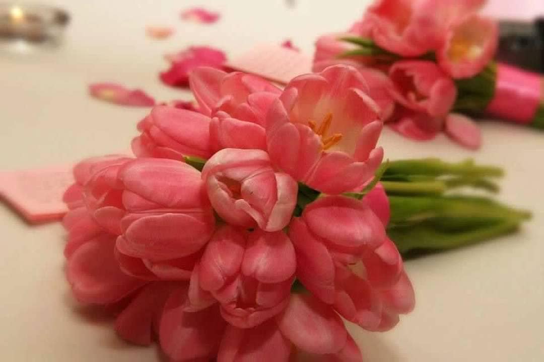 Petals